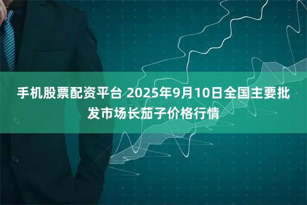 手机股票配资平台 2025年9月10日全国主要批发市场长茄子价格行情